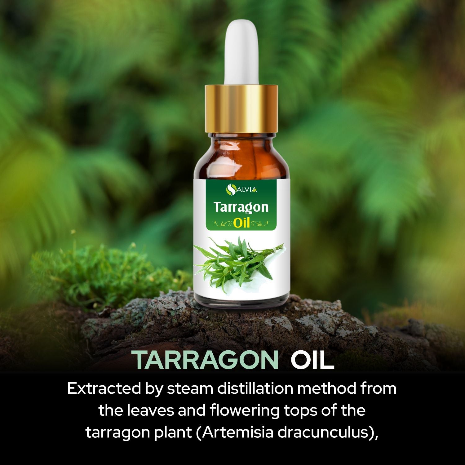 Salvia Natural Essential Oils,Dandruff,Greasy Oil,Anti Fungal,Anti-fungal Oil,Oil for Greasy Hair Tarragon Oil Salvia Natural Essential Oils,Dandruff,Greasy Oil,Anti Fungal,Anti-fungal Oil,Oil for Greasy Hair Tarragon Oil